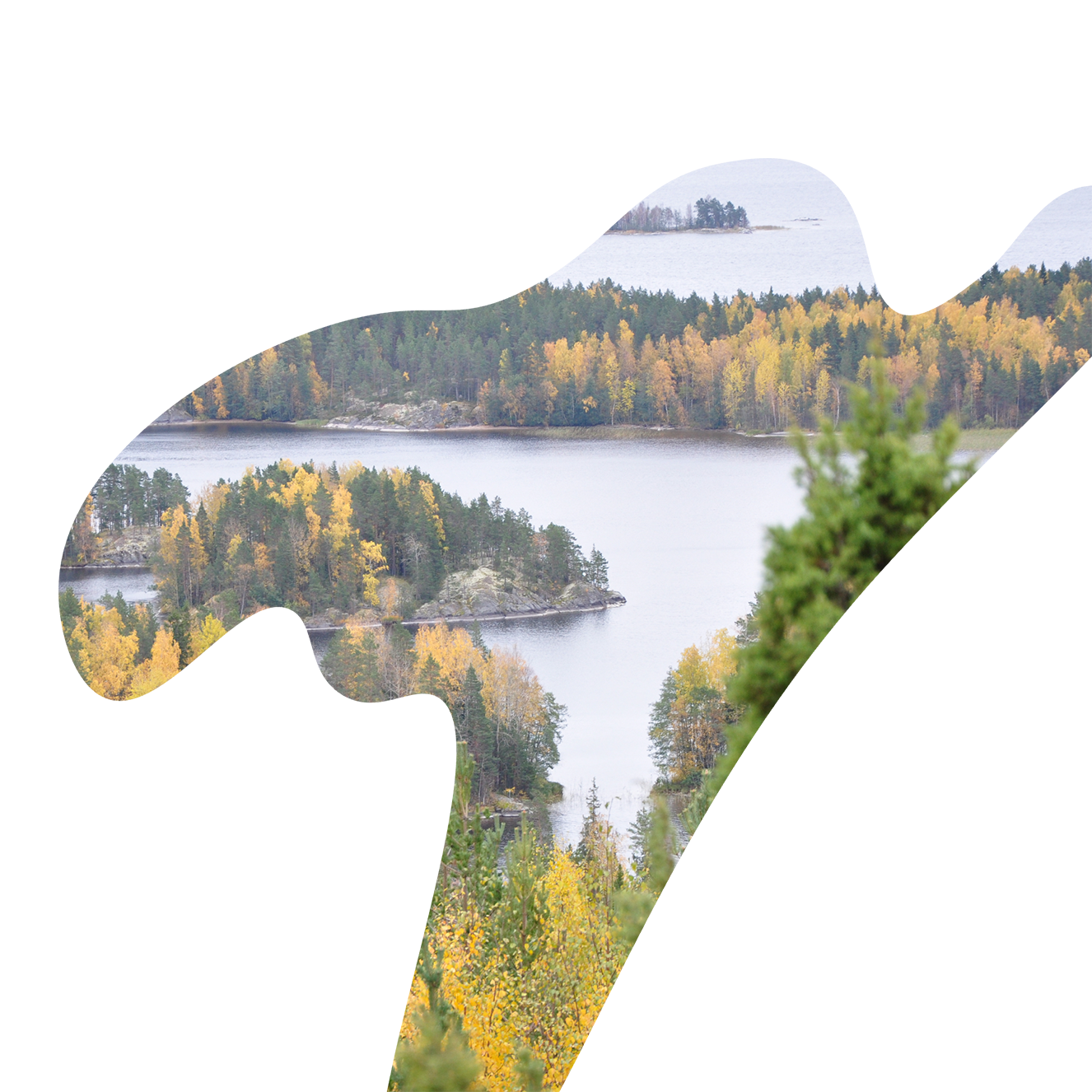 Maakuntahallitus ehdottaa Keski-Suomen liiton talousarvion hyväksymistä 