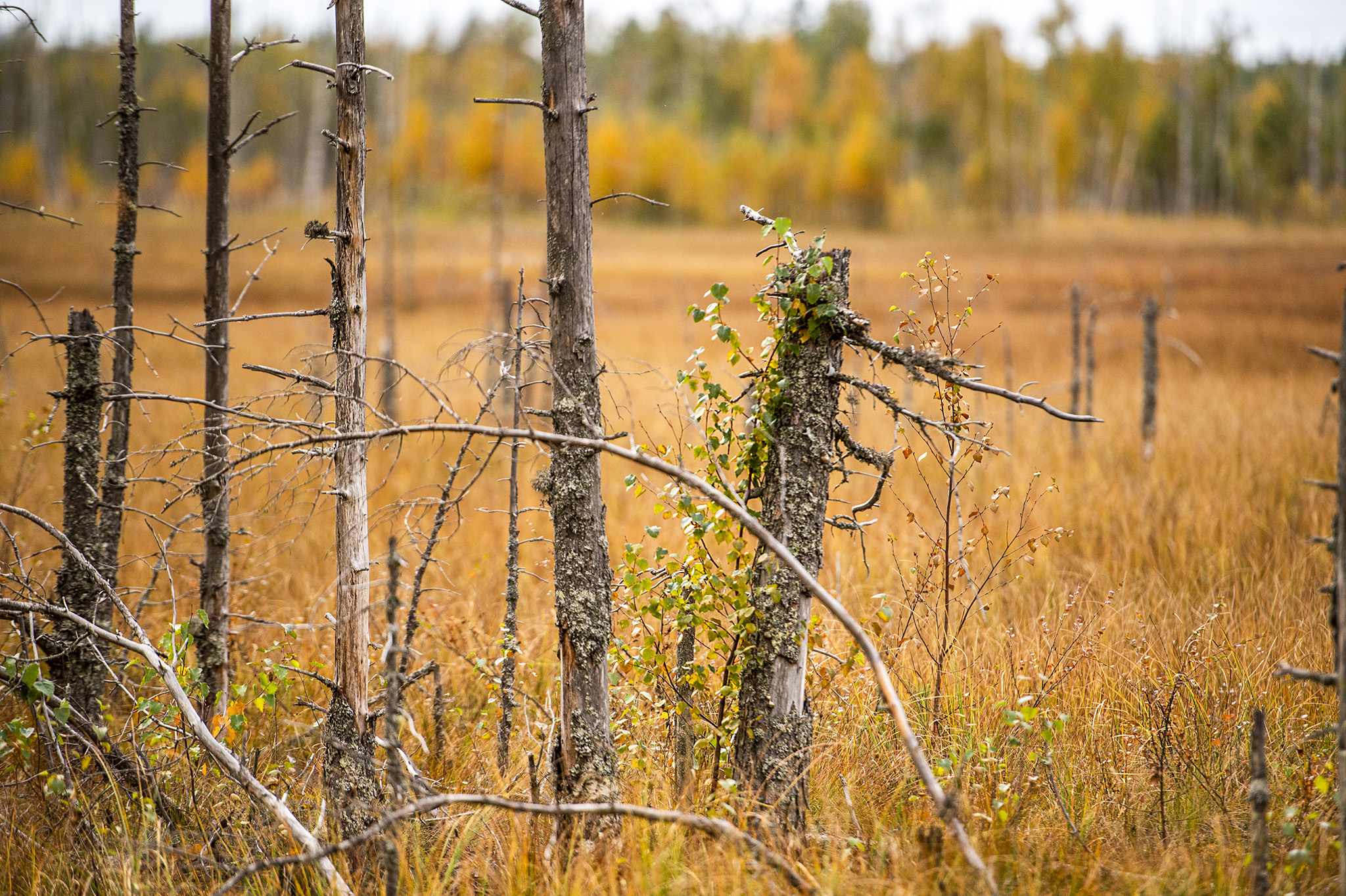 Hyvän voinnin Keski-Suomi – mikä on muuttunut?