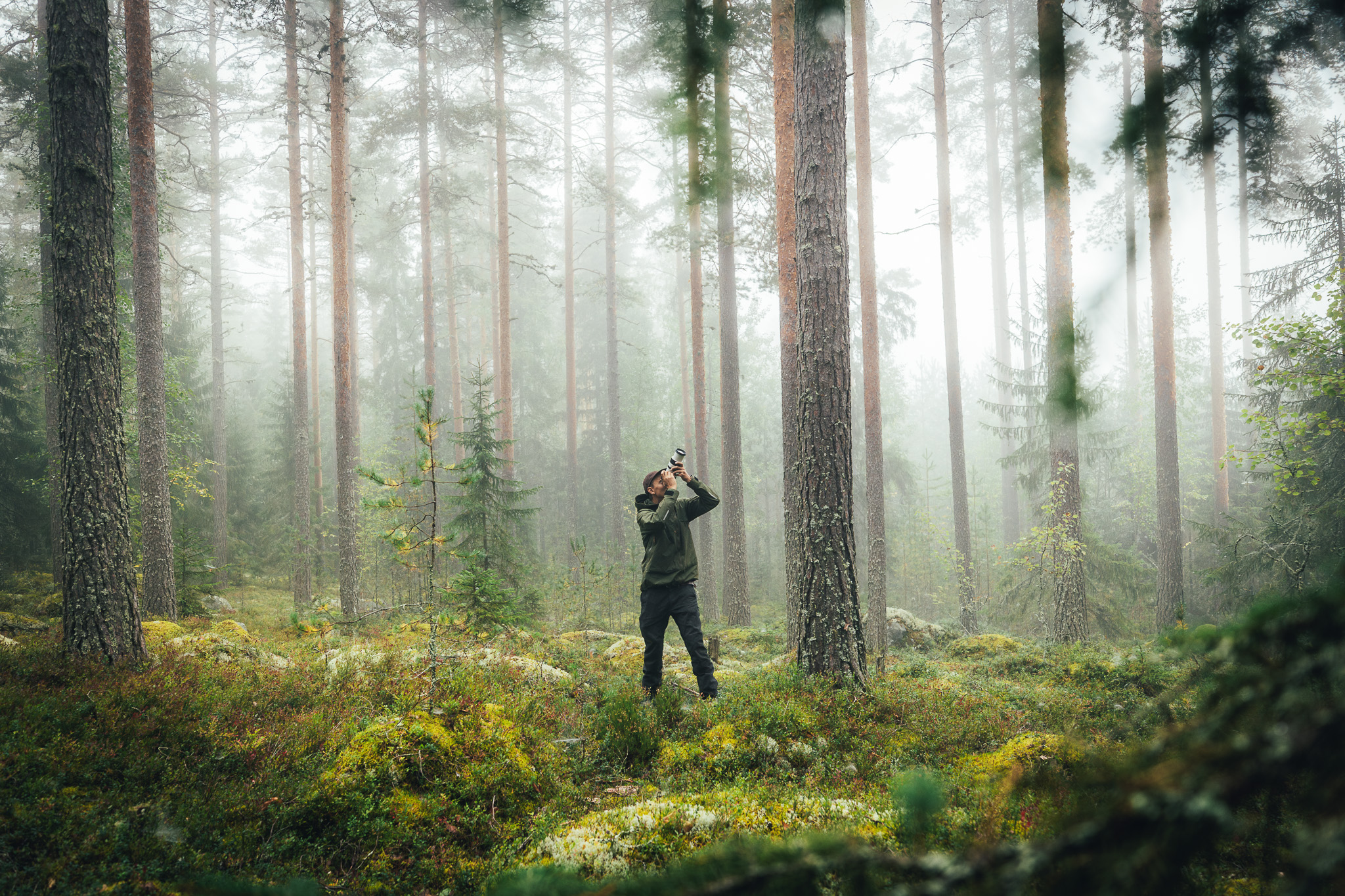 Henkilö seisoo kuvan keskellä usvaisessa mäntymetsässä ja kiikaroi taivaalle. Kuva vain luonto- ja ilmastoviestinnän käyttöön.